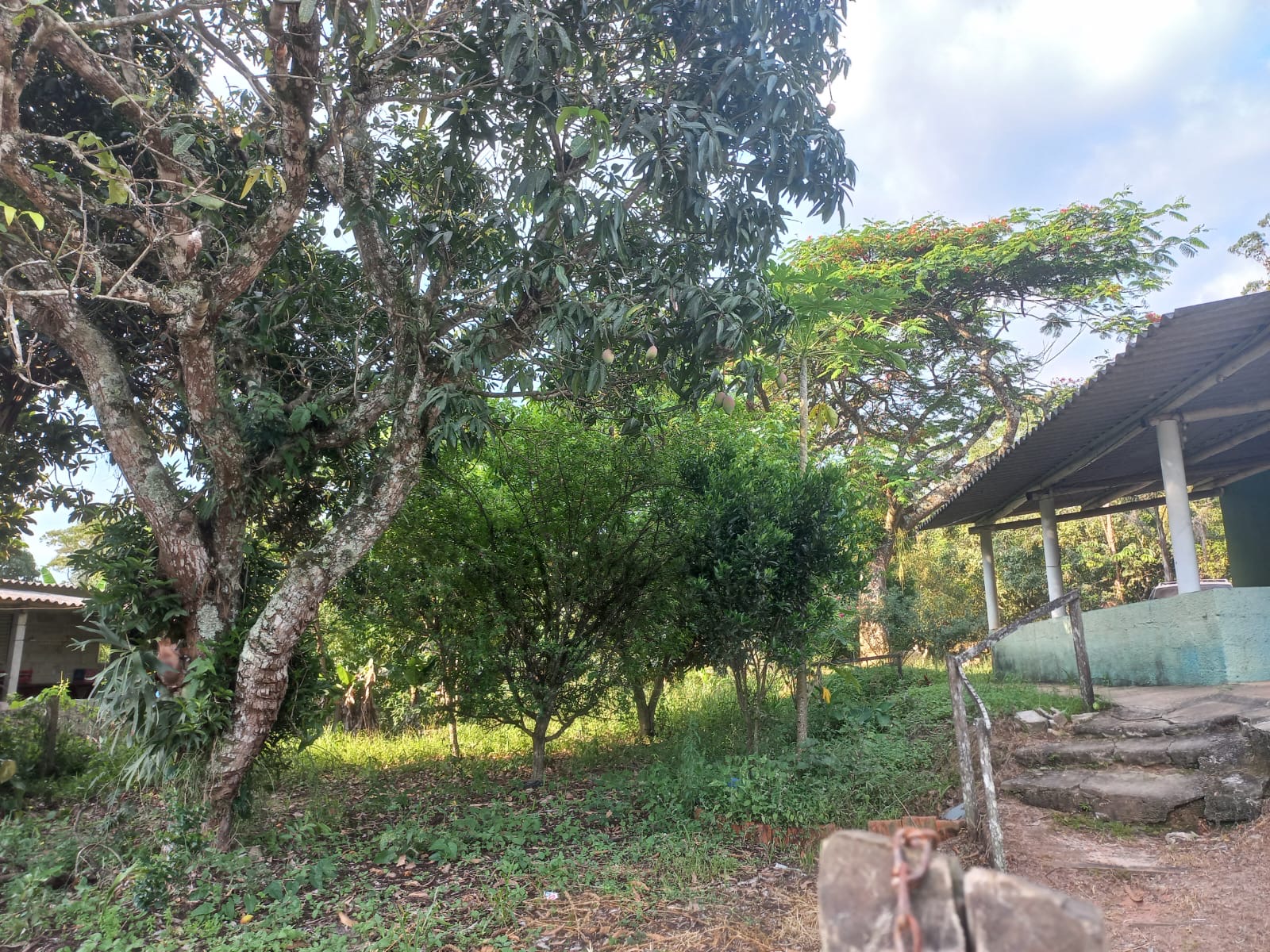 Chácara em Paraibuna