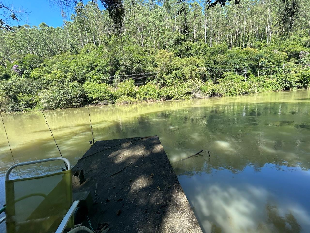 Chácara dentro da cidade de Santa Branca imagem 17