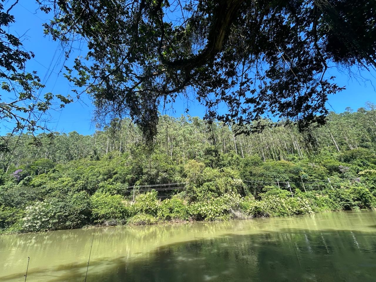 Chácara dentro da cidade de Santa Branca imagem 18