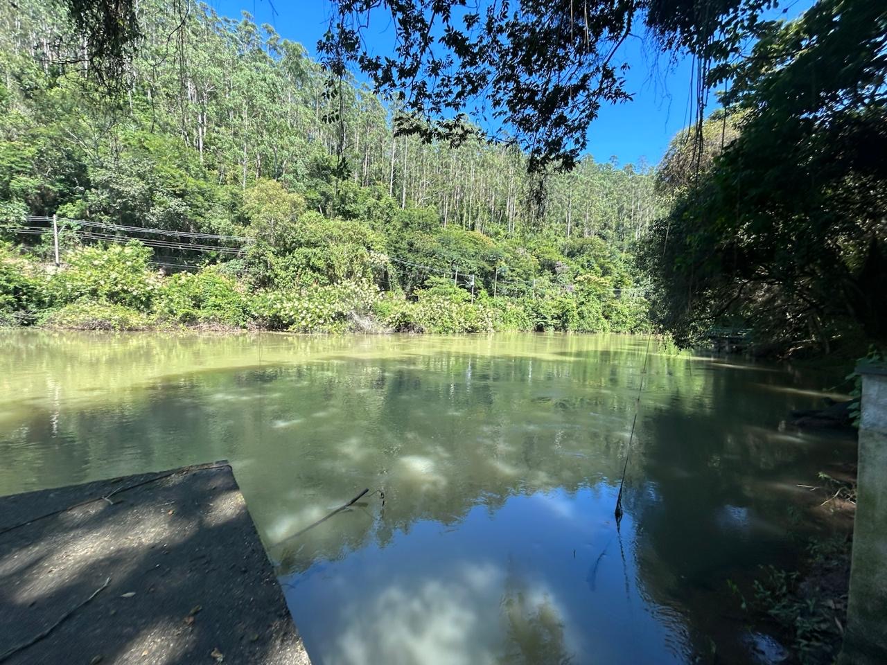 Chácara dentro da cidade de Santa Branca imagem 40
